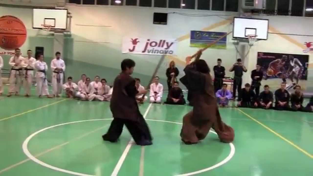 Hyoho Taisha Ryu Italian Seminar synthesis