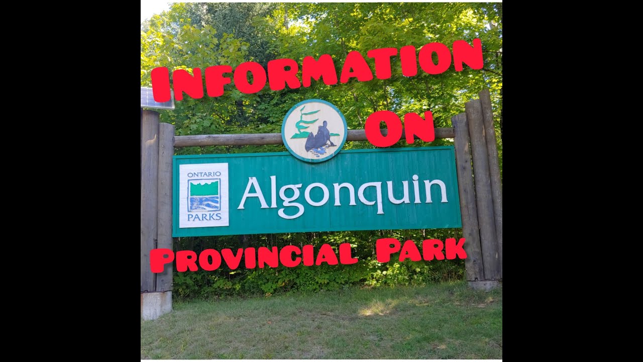 Algonquin Park Information and Review (2021)