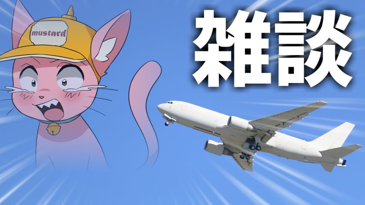 飛行機に乗り遅れて帰れなくなったので、人前で号泣しました。【雑談】