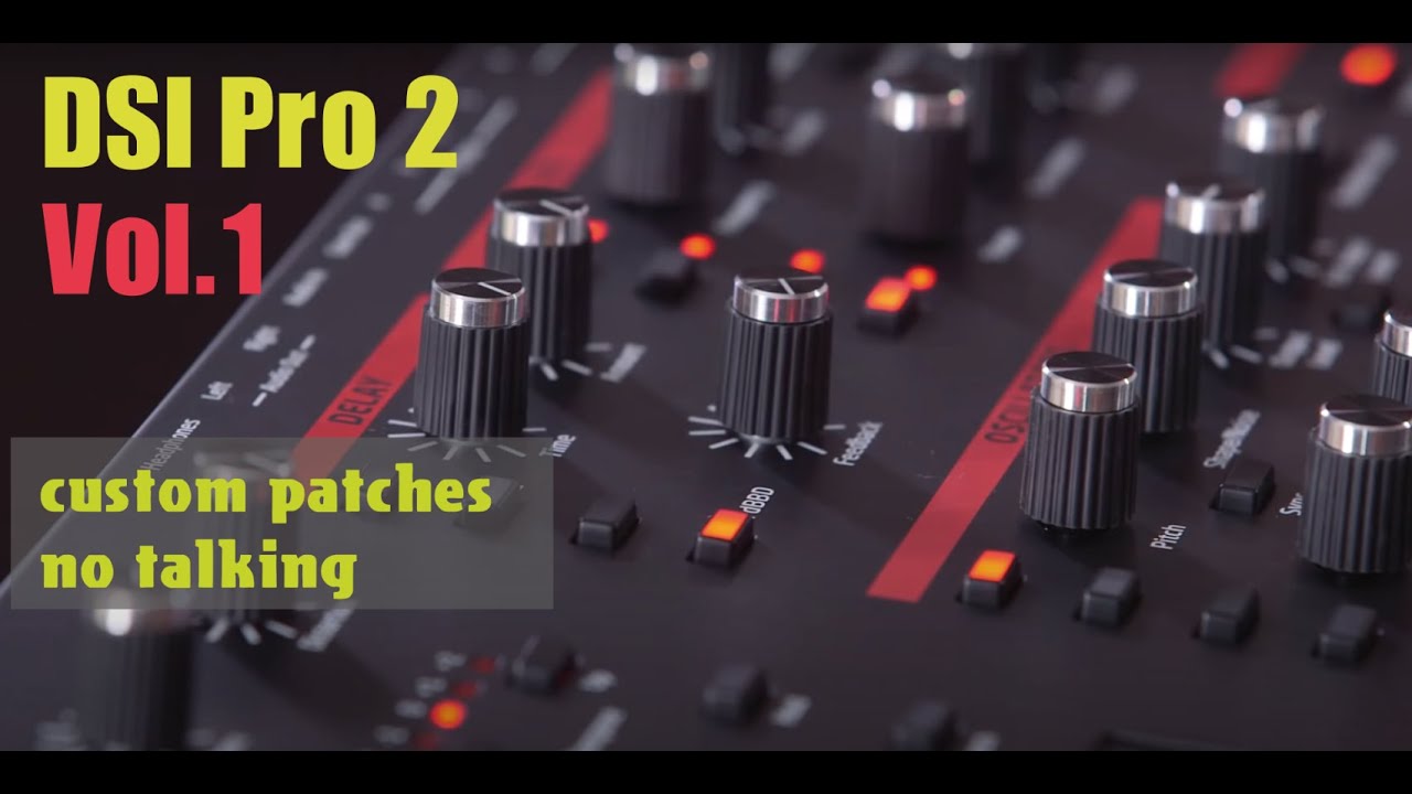 Dave Smith Pro 2 Vol.1 sound (custom patches, no talking)
