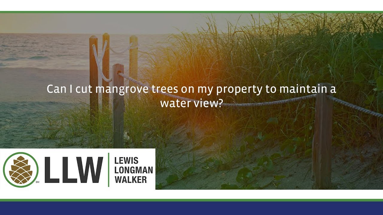 Can I cut mangrove trees on my property to maintain a water view?