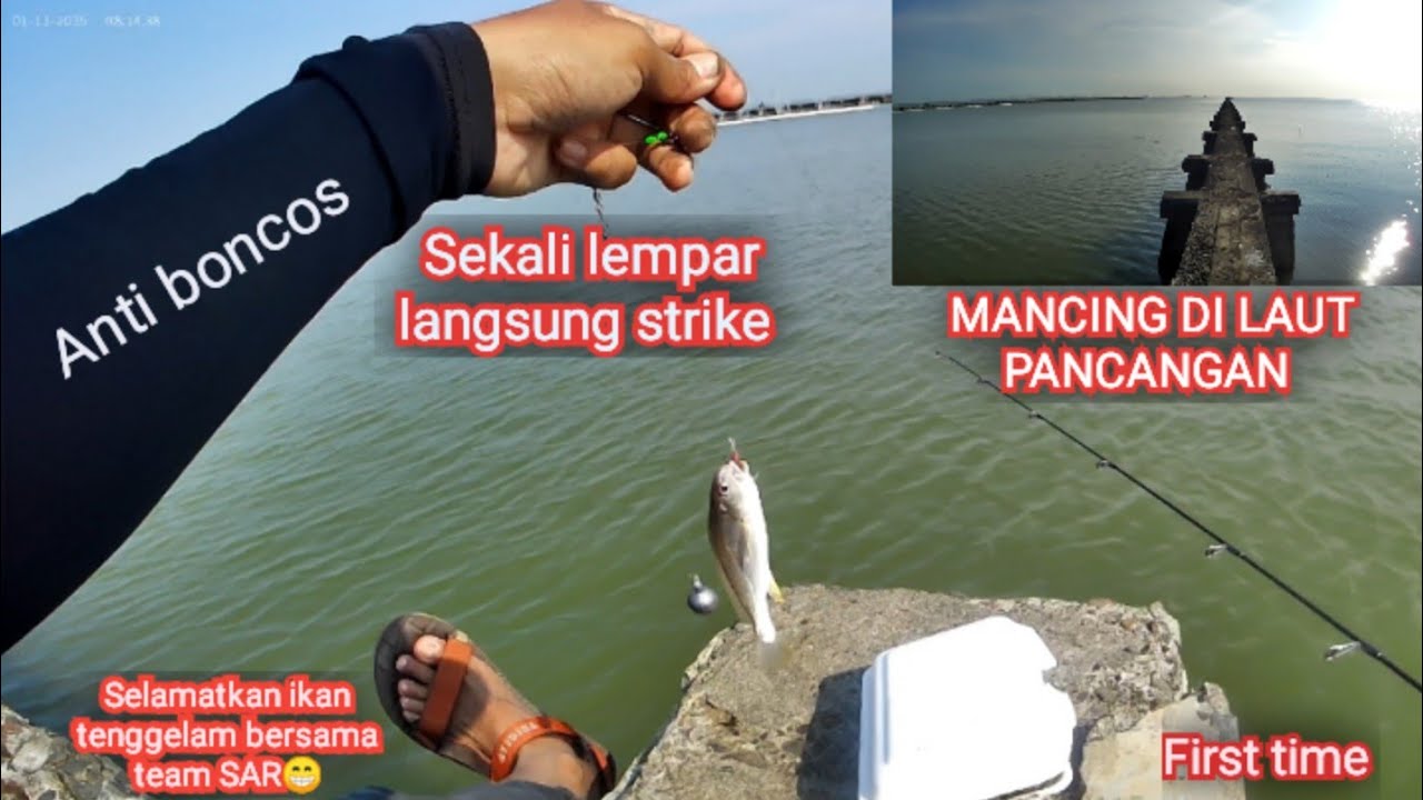 Mancing di pancangan cilebar Karawang|| mancing di laut || perdana.