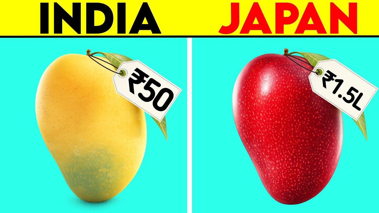 Only in Japan! 10 Mind-Blowing Expensive Fruits | JD Facts