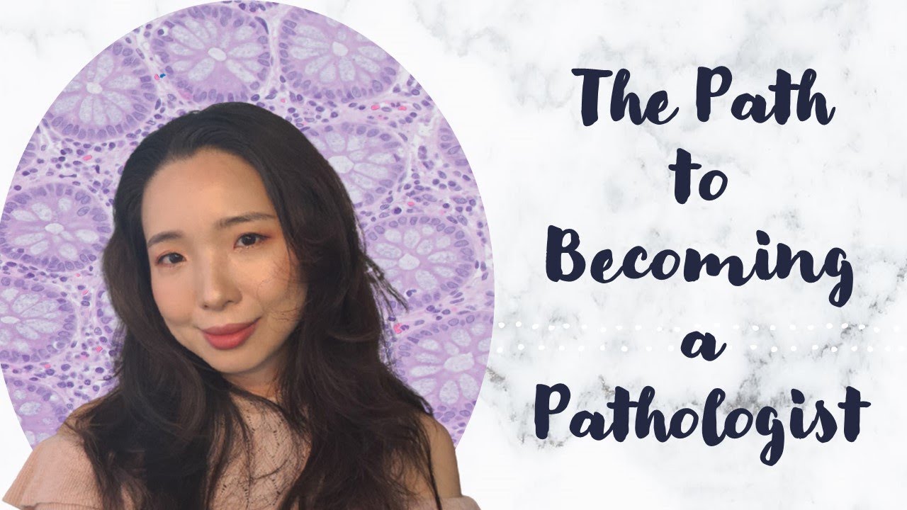 The Path to Becoming a Pathologist | From Undergrad to First Job