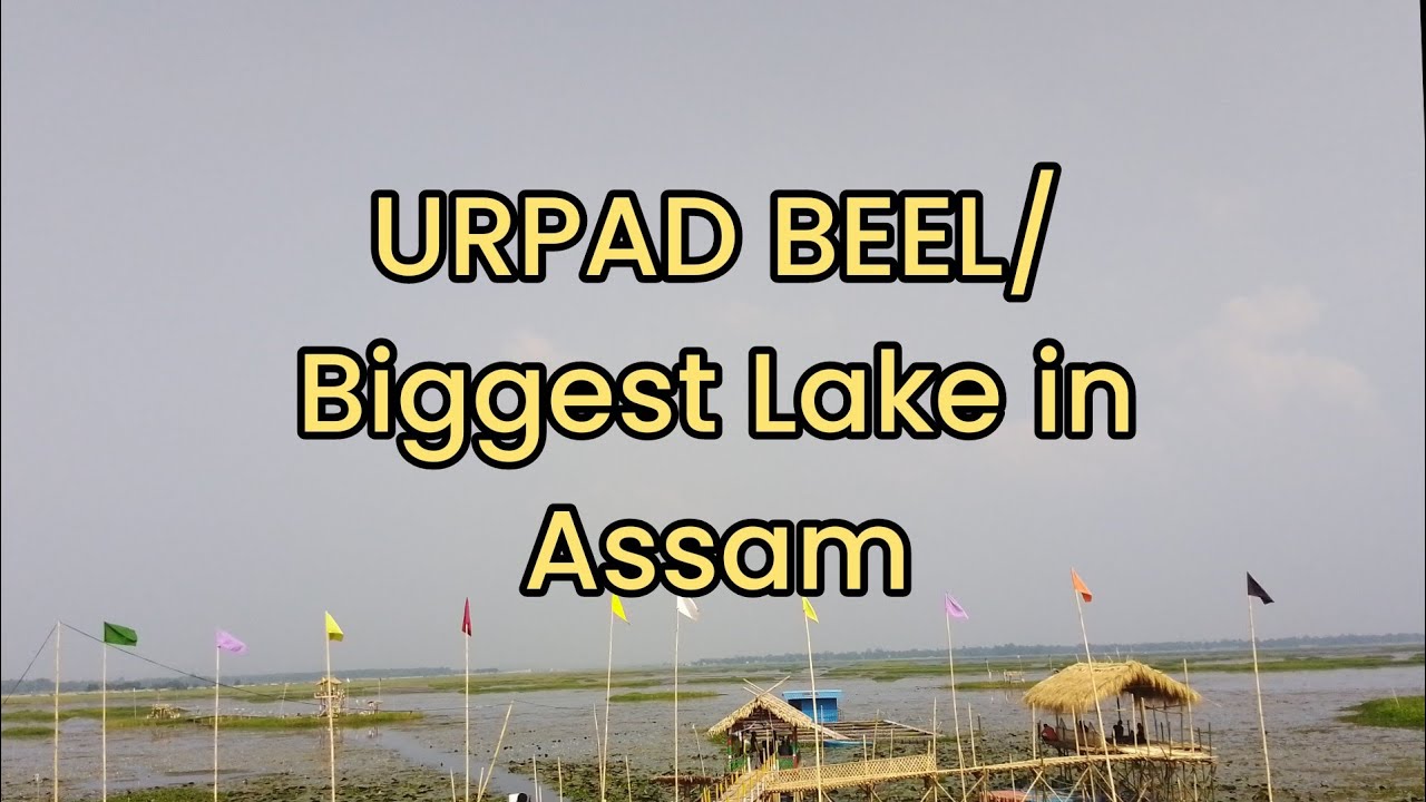 Chamaguri URPAD BEEL .