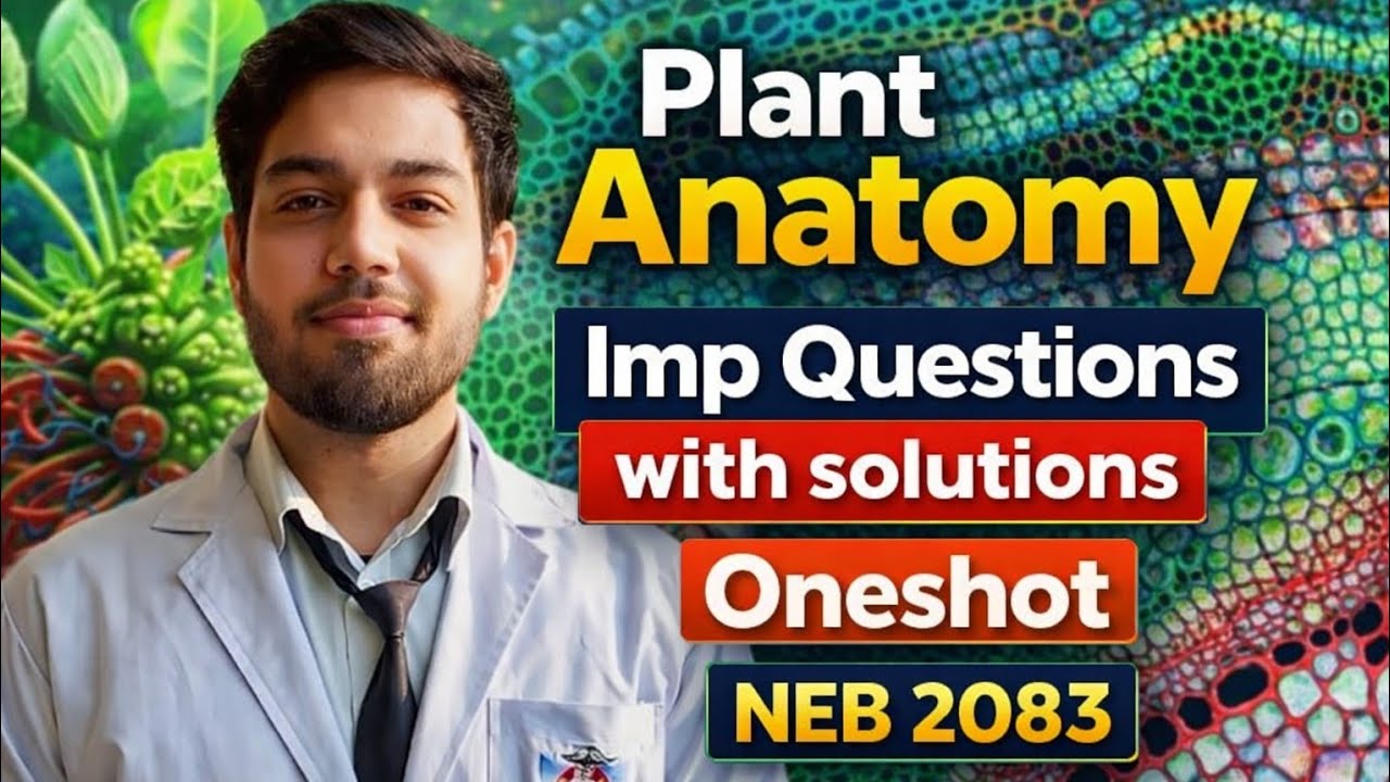 Class 12 | Plant Anatomy || Oneshot Revision For NEB 2083 || AM UnitY 