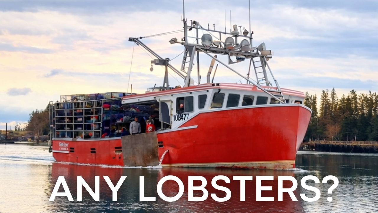 We've Been Waiting All Year for This | Lobster Fishing