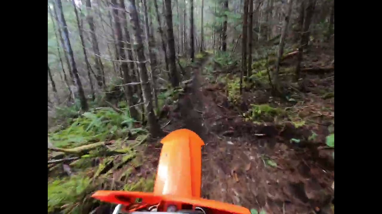 Perfect Day For Single Track