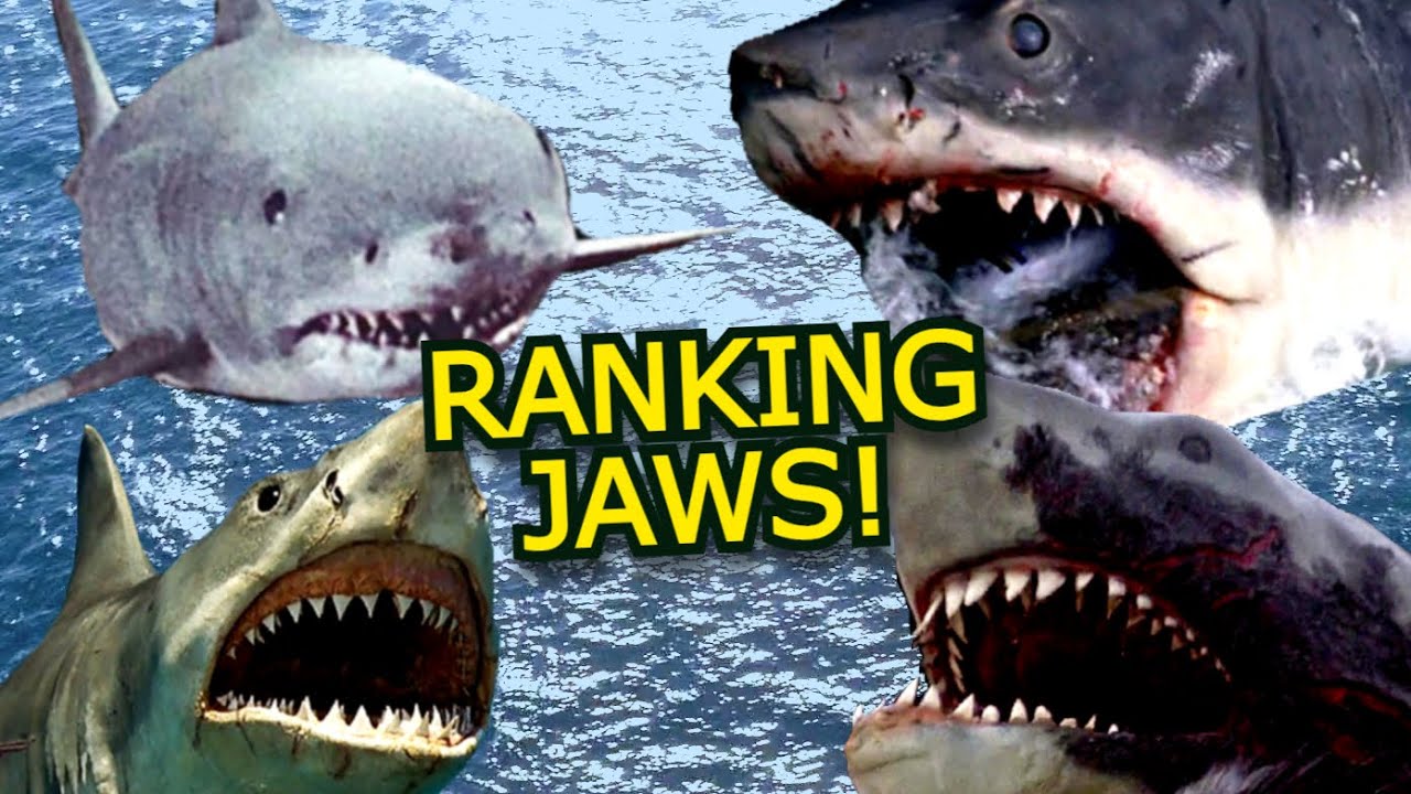 Jaws Movies Ranked From Worst to Best!