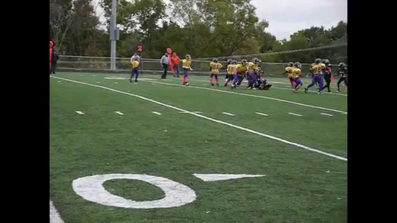 2014 BIG EAST YOUTH FOOTBALL CHAMPS MCKEESPORT LITTLE TIGERS BABY TEAM