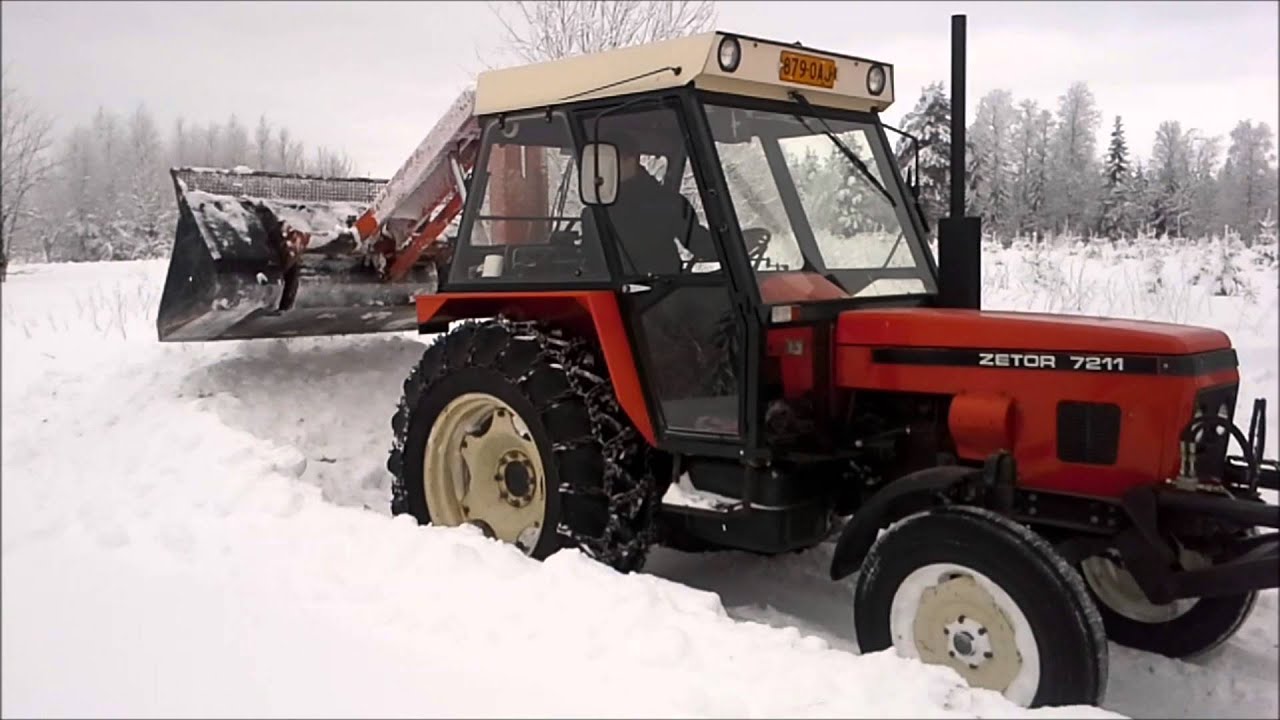 Zetor puskee, labradori varmistaa