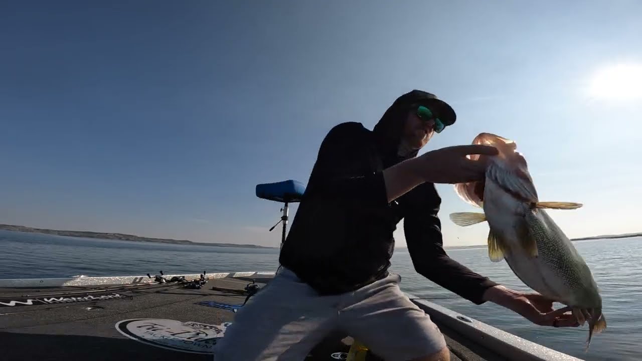 Trophy Walleye hunting with the Lowrance Active Target