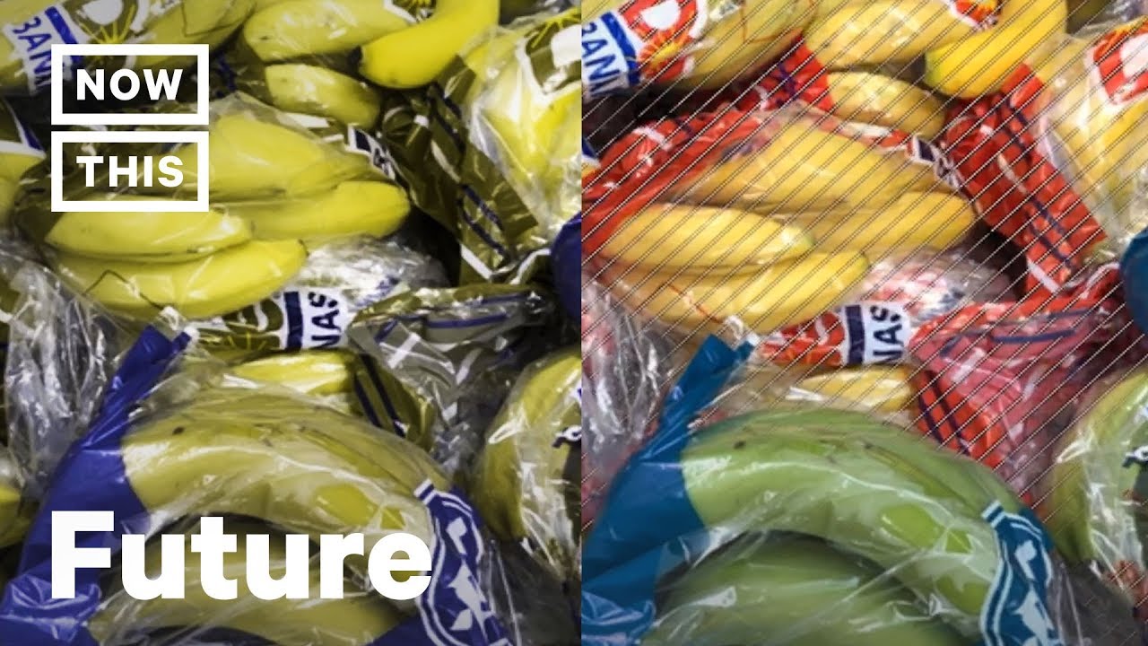 How This App Changes Everything for People With Colorblindness | NowThis