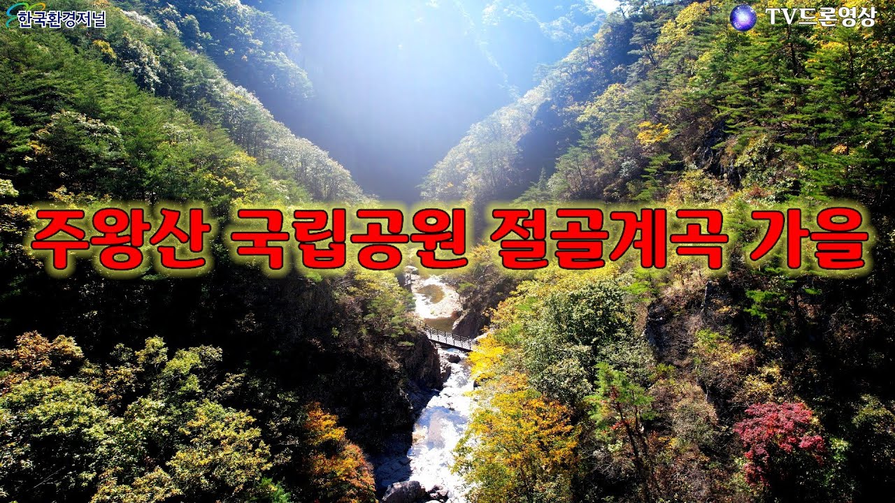 [EP.449] 주왕산 국립공원 절골계곡 가을/드론영상/Korea 🇰🇷