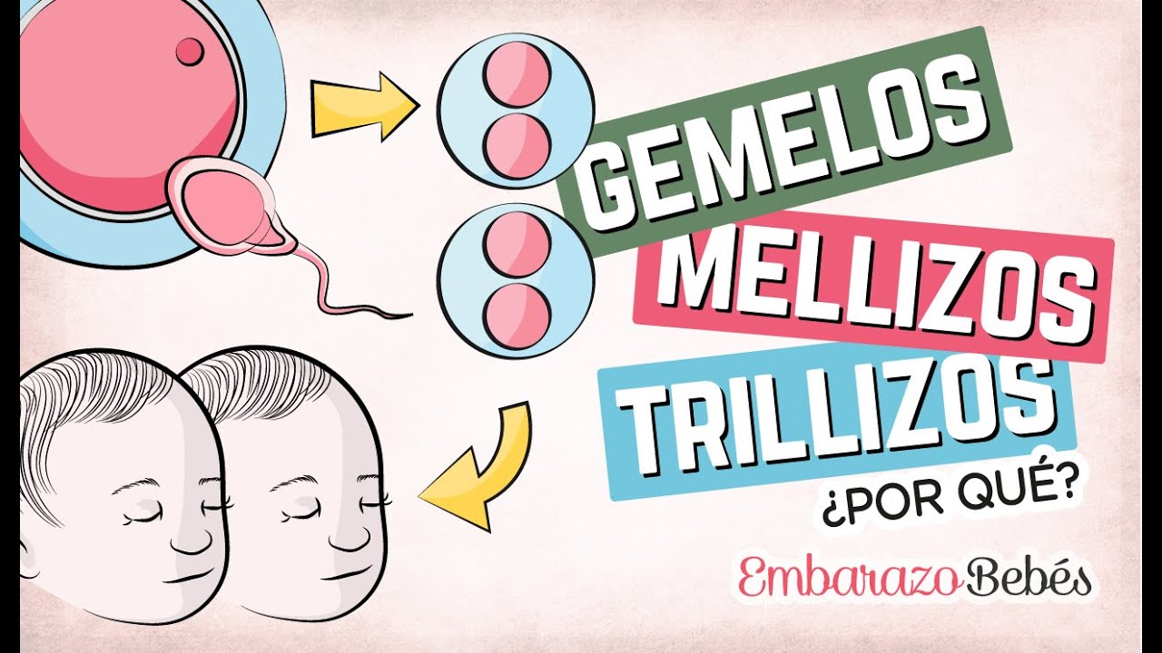 Por qué se forman GEMELOS, MELLIZOS Y TRILLIZOS 👶🏼👶🏼 ¿Qué diferencia hay?