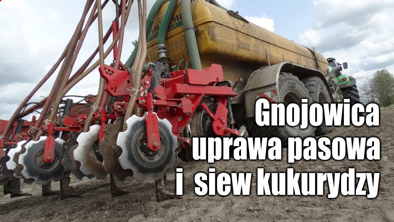 Gnojowica, uprawa pasowa i siew kukurydzy - test aplikatora Czajkowski