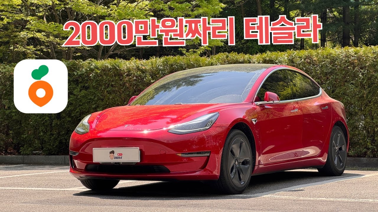 중고시장 최저가 테슬라 모델3의 충격적인 상태