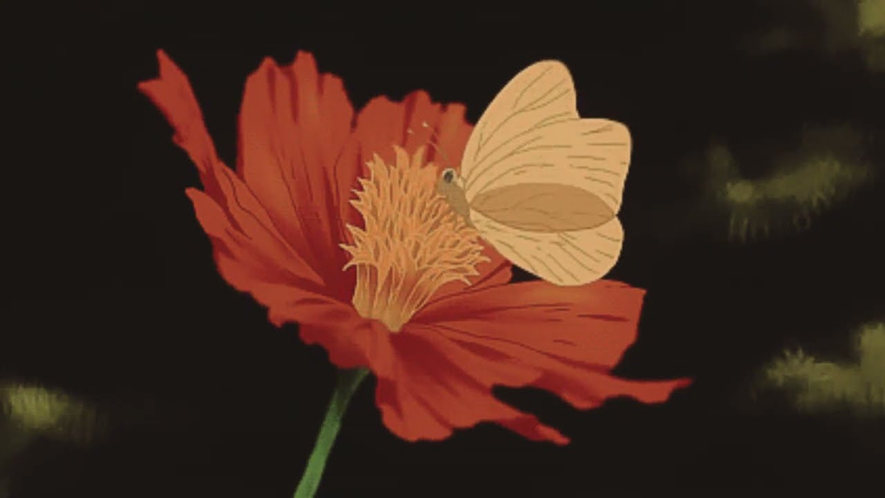 for you
