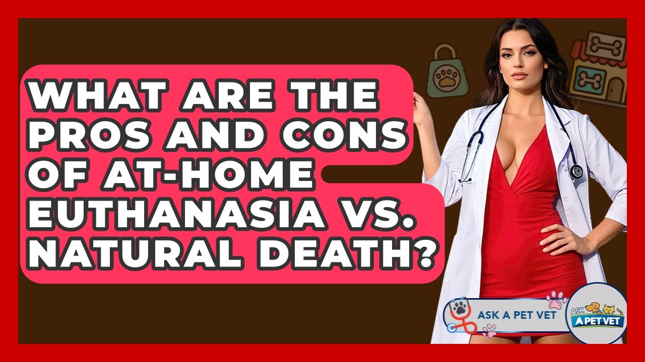 What Are The Pros And Cons Of At-home Euthanasia Vs. Natural Death? - Ask A Pet Vet