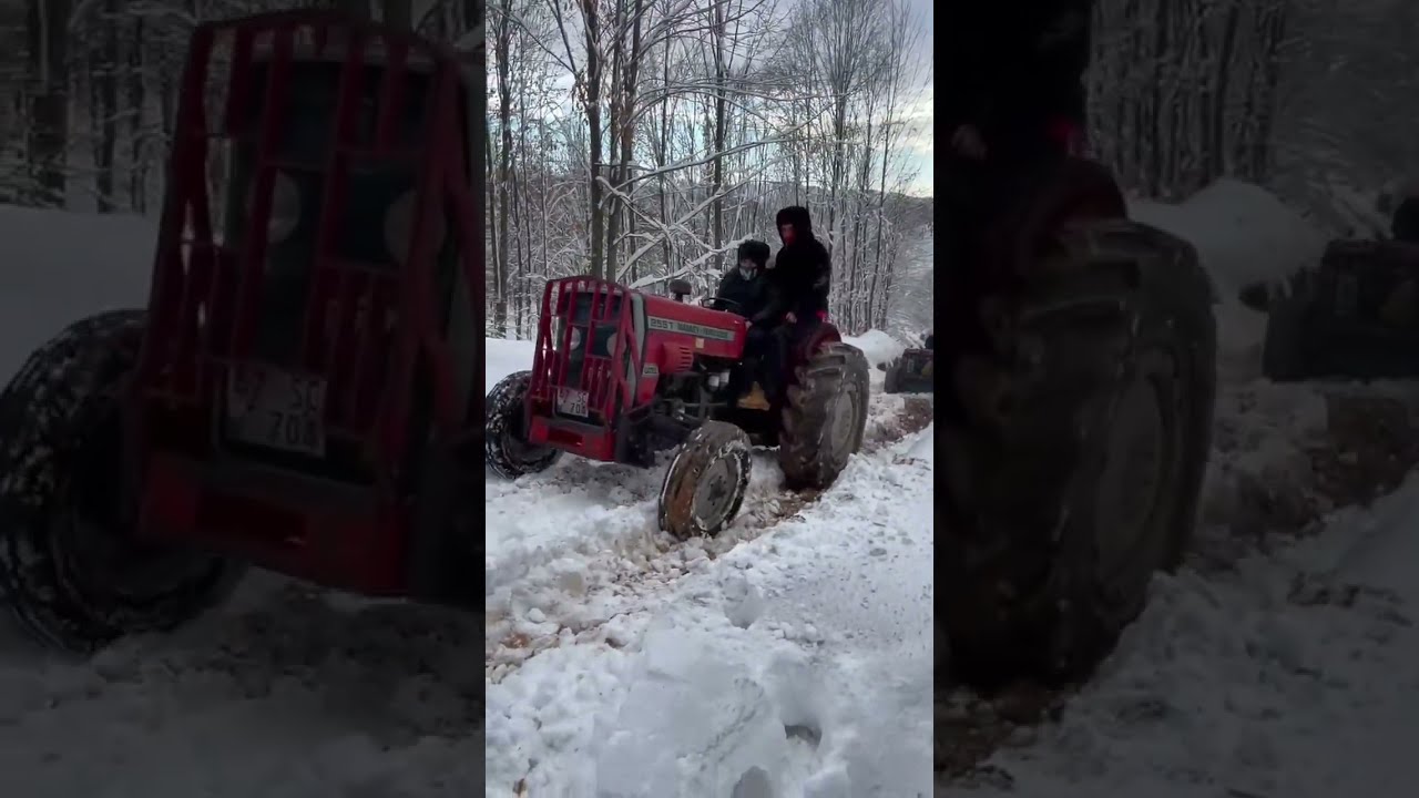 Traktörlerle ormanda offroad