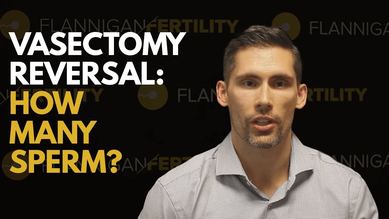 Getting Pregnant After Your Vasectomy Reversal?