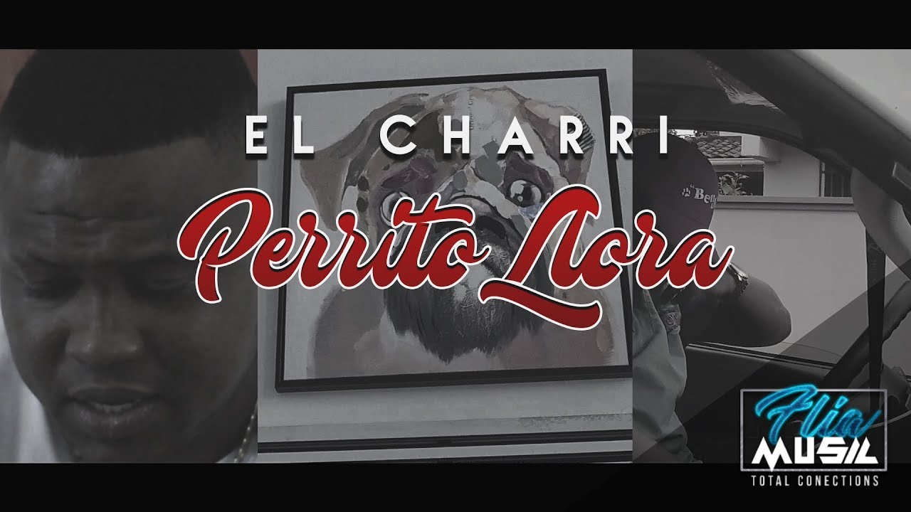 El Charri - Perrito Llora (Video Oficial)