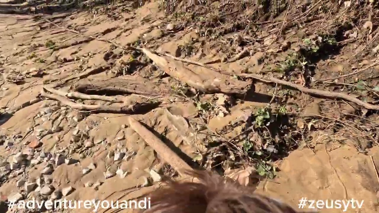 Blue Heron Loop Trail     #adventureyouandi   #hikeky   #zeusytv