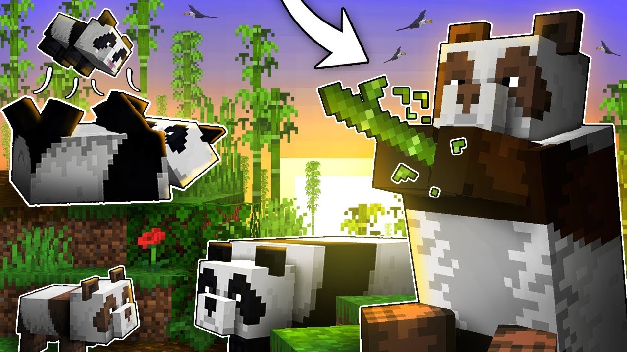 Everything You Need To Know About PANDAS In Minecraft!