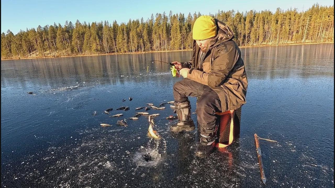 Pesca sobre el primer hielo: ¡Picadas impresionantes y capturas enormes!