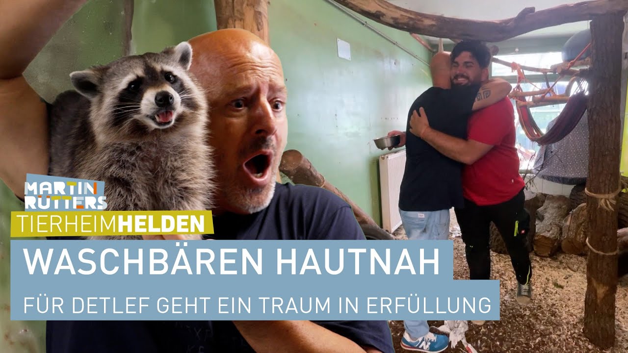 DIESE Tiere erobern Detlef's Herz im Tierschutzhaus in Wien 🦝 | Martin Rütters Tierheimhelden