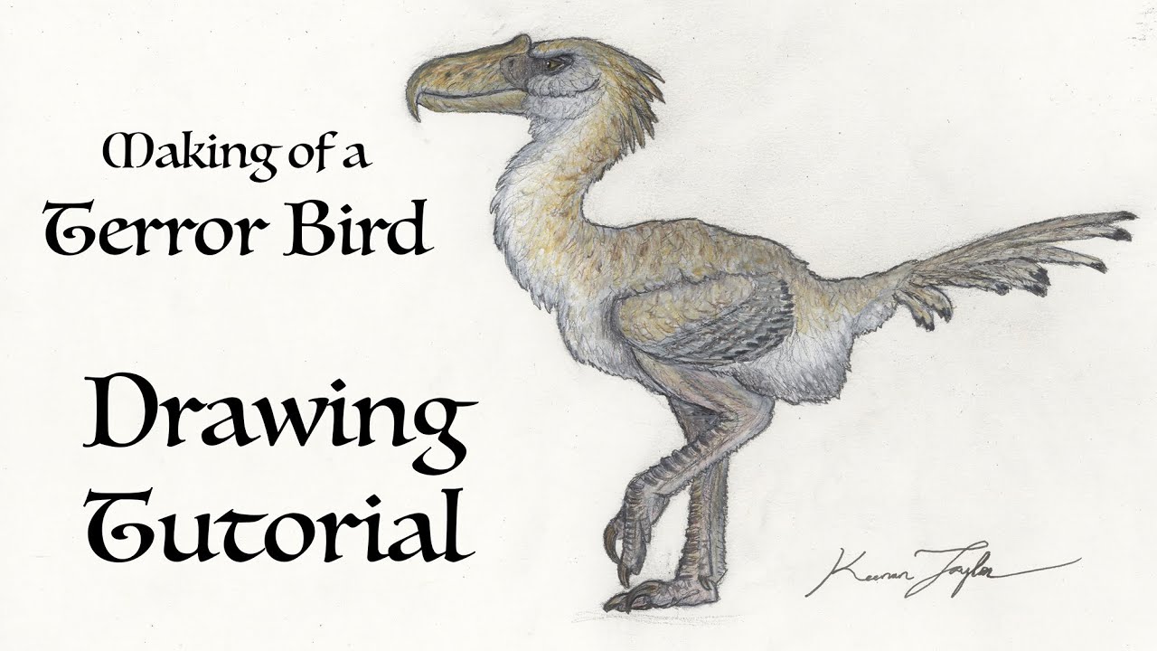 Making of a Terror Bird: Drawing Tutorial