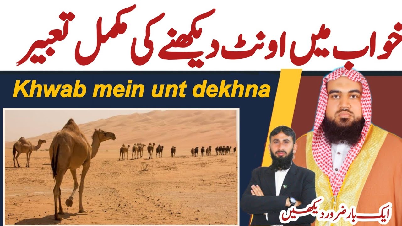 khwab mein oont dekhna | sapne mein oont dekhna | khwab mein unt dekhna | camel dream meaning