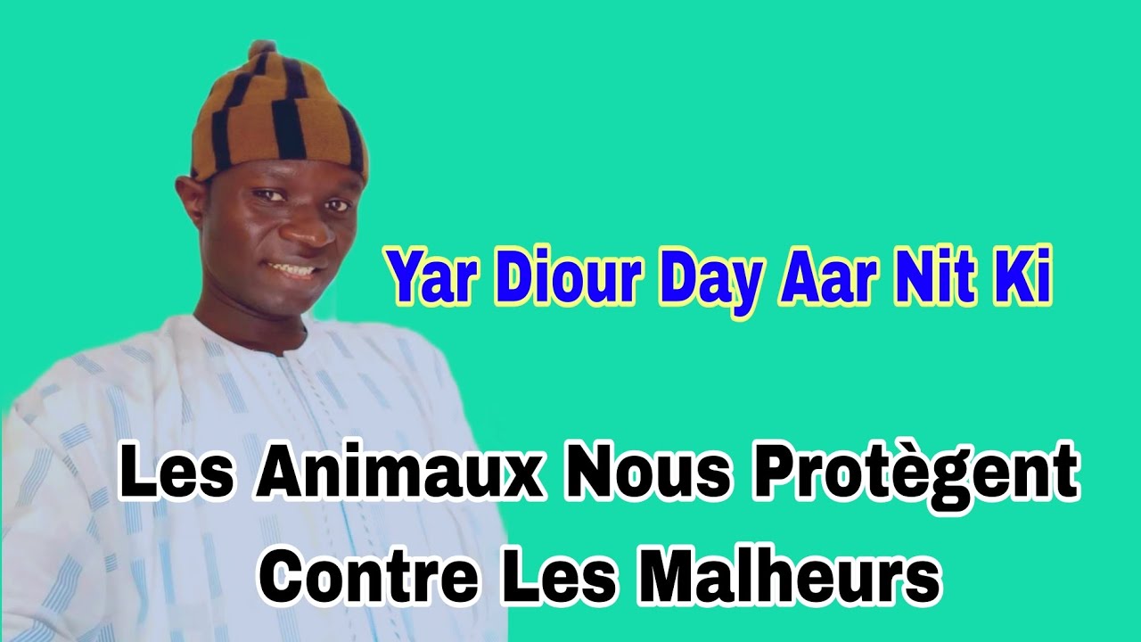 Yar Diour Day Aar Nit Ki, Les Animaux Nous Protègent Contre Les Malheurs : Mouhamadou Diakhaté