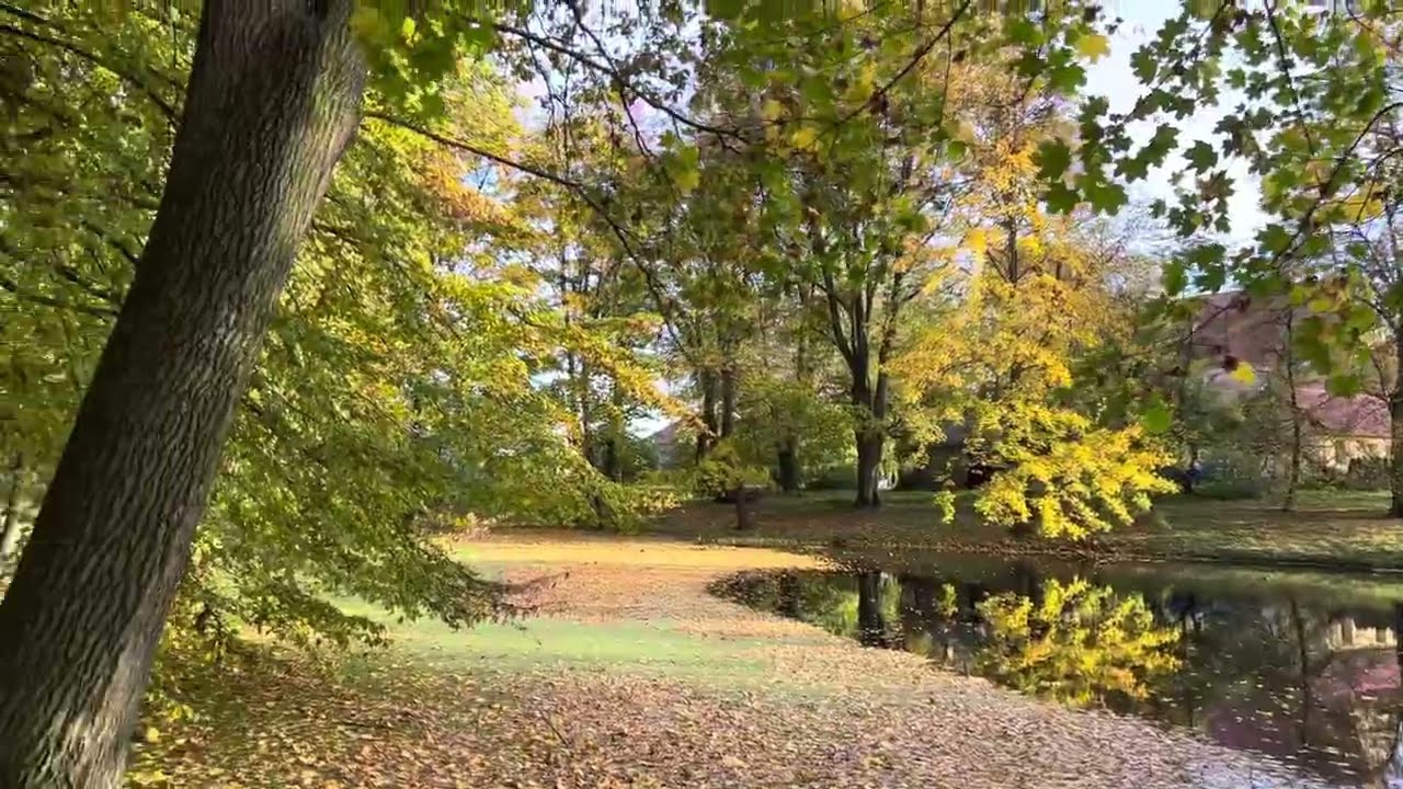 LASTIMA DEJARON PERDER EST&Aacute; CASA  - Ruinas de la casa solariega Lubieński en Zas&oacute;w
