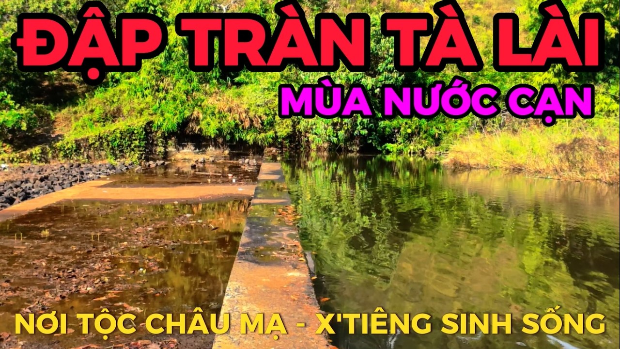 ĐẬP TRÀN TÀ LÀI 24.02 MÙA NƯỚC CẠN NGƯỜI CHÂU MẠ X'TIÊNG SINH SỐNG RA SAO TẠI CỬA XẢ TRÀN TÂN PHÚ ĐN