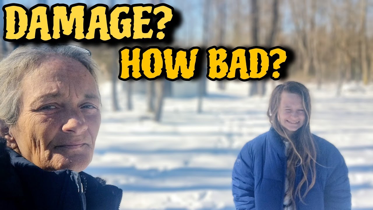 Ущерб? Насколько сильный?
