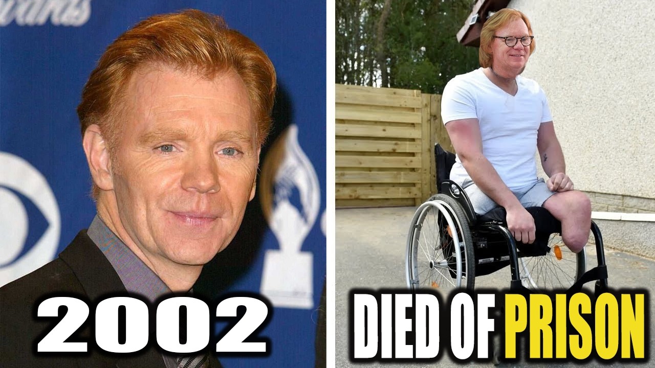 CSI: Miami’ Ended 14 Years Ago: What Have the Stars Done Since?