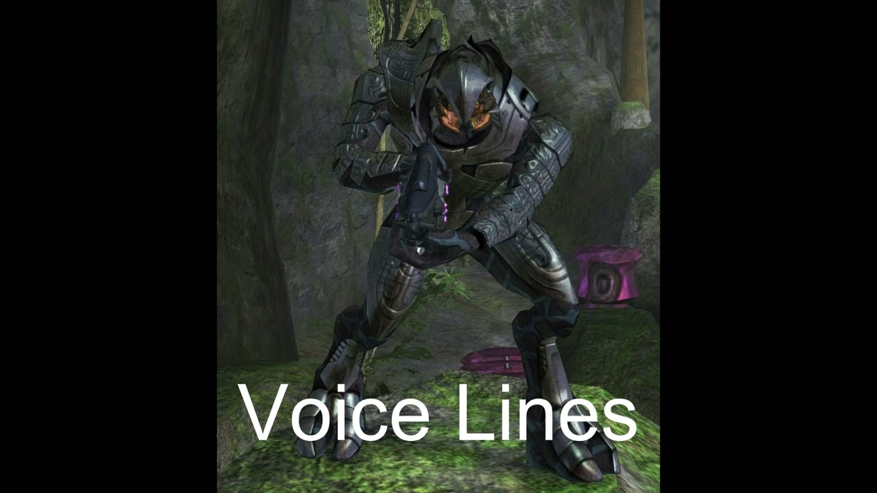 Halo 2 - Arbiter Voice Lines