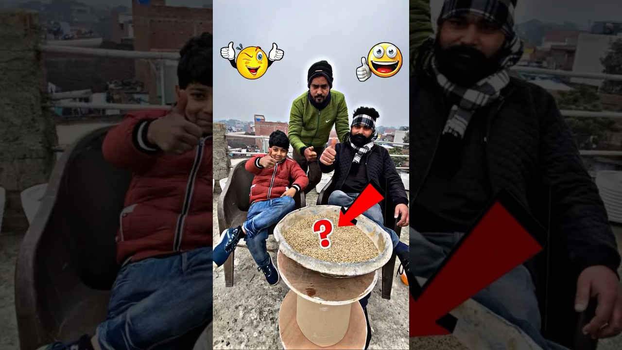 amazing pigeon tips in winter 🥶 | #pigeontips #pigeon #kabootar #shorts