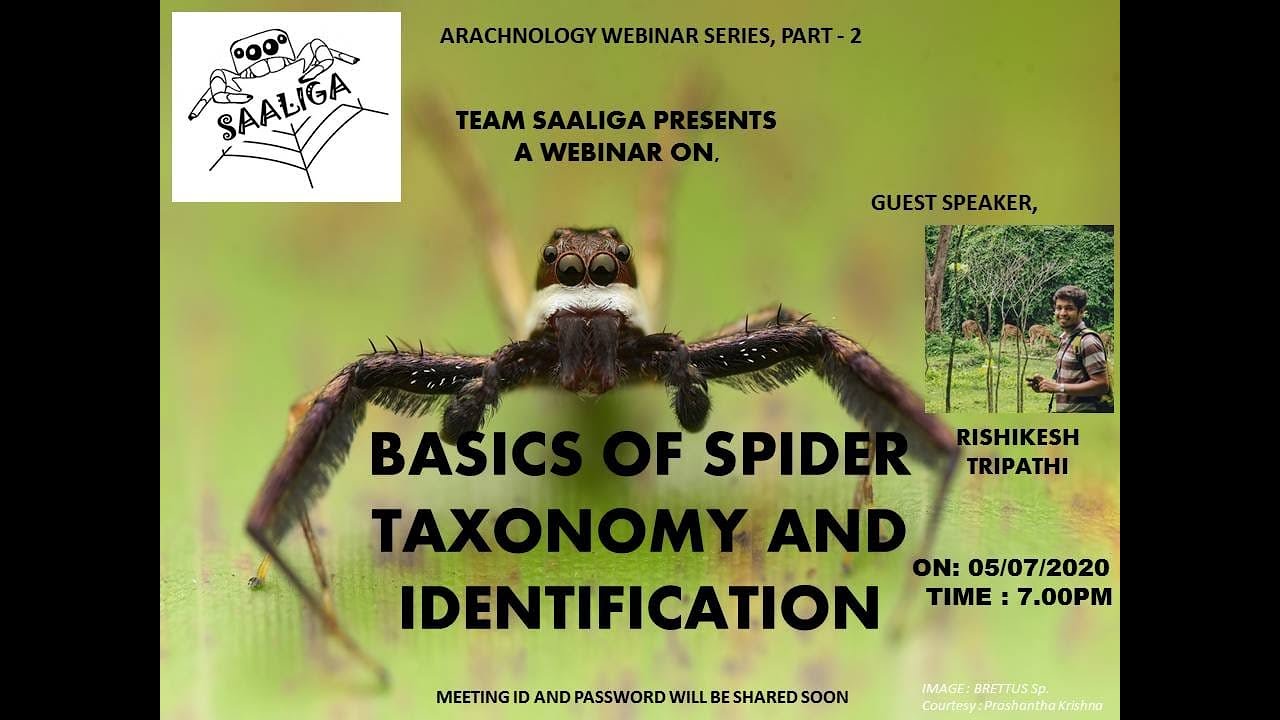 Basics of Spider taxonomy and identification - Rishikesh Tripathi