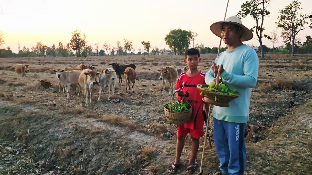 พาน้องทำ มาเก็บสะเดา- ผักติ้วอ่อน ยามแลง.🥦 🌽 🥬14/2/2026