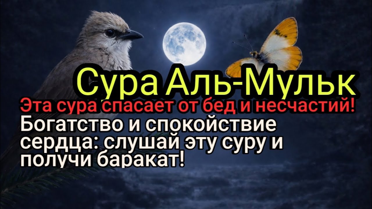 Богатство и спокойствие сердца: слушай эту суру и получи баракат!