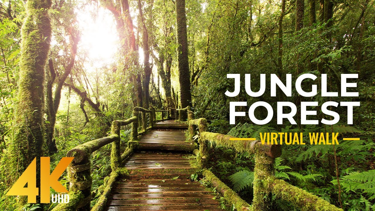 4K Nature Treasures of Hawaii Botanical Garden - Jungle Forest Cinematic Virtual Walk (Slow Motion)