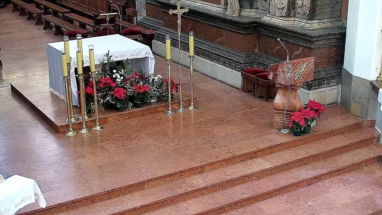 Transmisja z Katedry Tarnowskiej