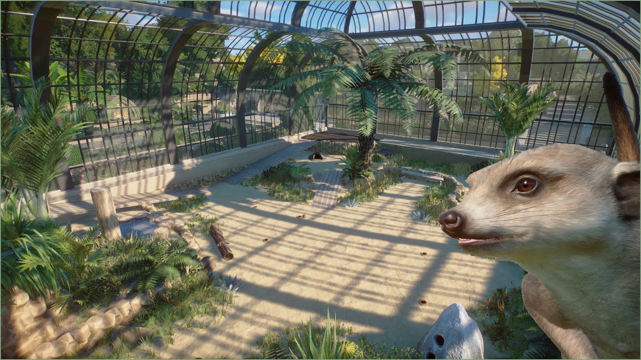 🐈 Simple indoor meerkat habitat | Quaco Zoo | Planet Zoo | speedbuild 🌻