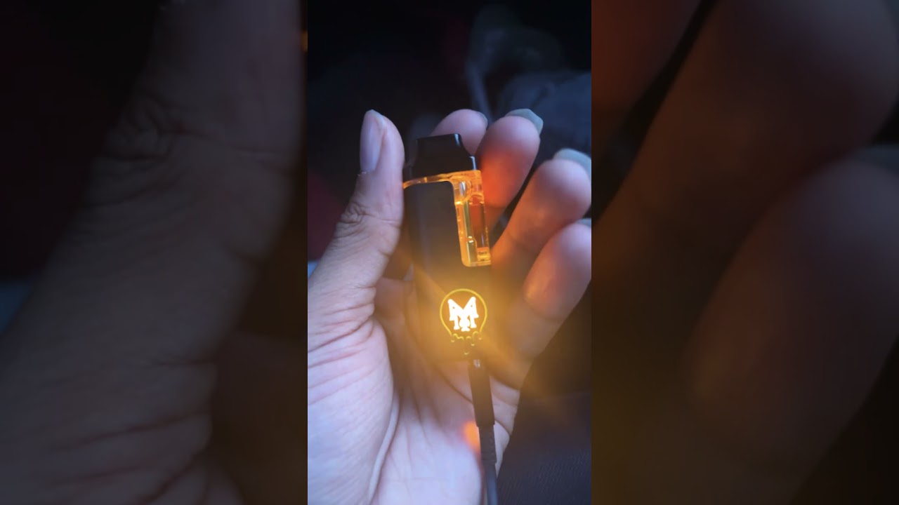 2G MUHA BERRY GELATO 🫐🔥