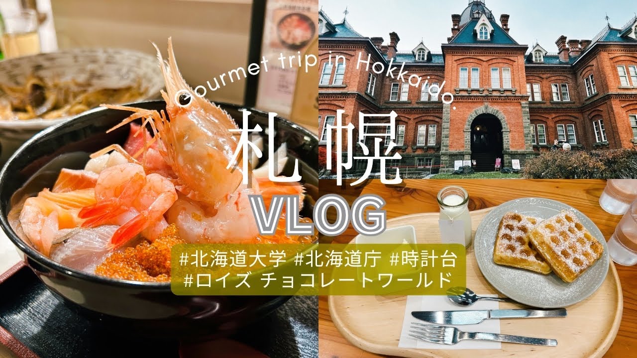 ［2泊3日］ノープランで札幌を楽しむ旅☃️北海道大学|北海道庁|時計台|新千歳空港