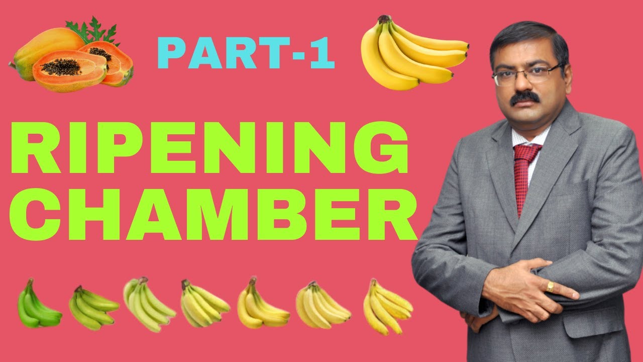Ripening Chamber | Ripening Chamber Project Cost | Ripening Chamber For Banana | Fruits | Part -1