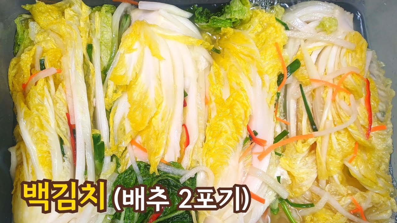 백김치 담그는 방법 l 배추 2포기로 시원하고 상큼하고 아삭아삭한 백김치 만들기 | 국물 맛 나는 비법 공개 (배·무·새우젓·찹쌀풀 황금비율)