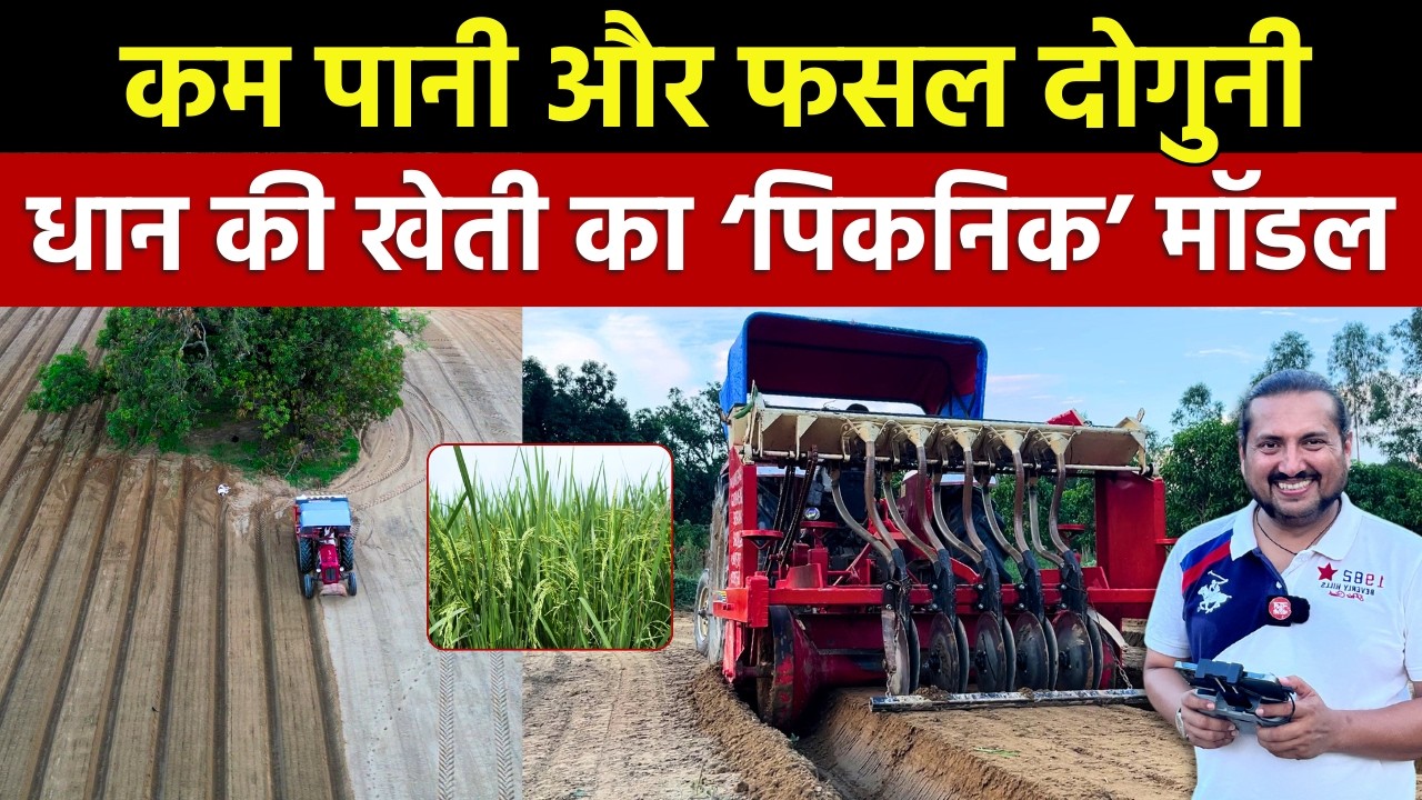 kheti का पिकनिक मॉडल  | PQNK Model of farming 🌾 || Part 1 || DSR Paddy Farming || #farmingvideos